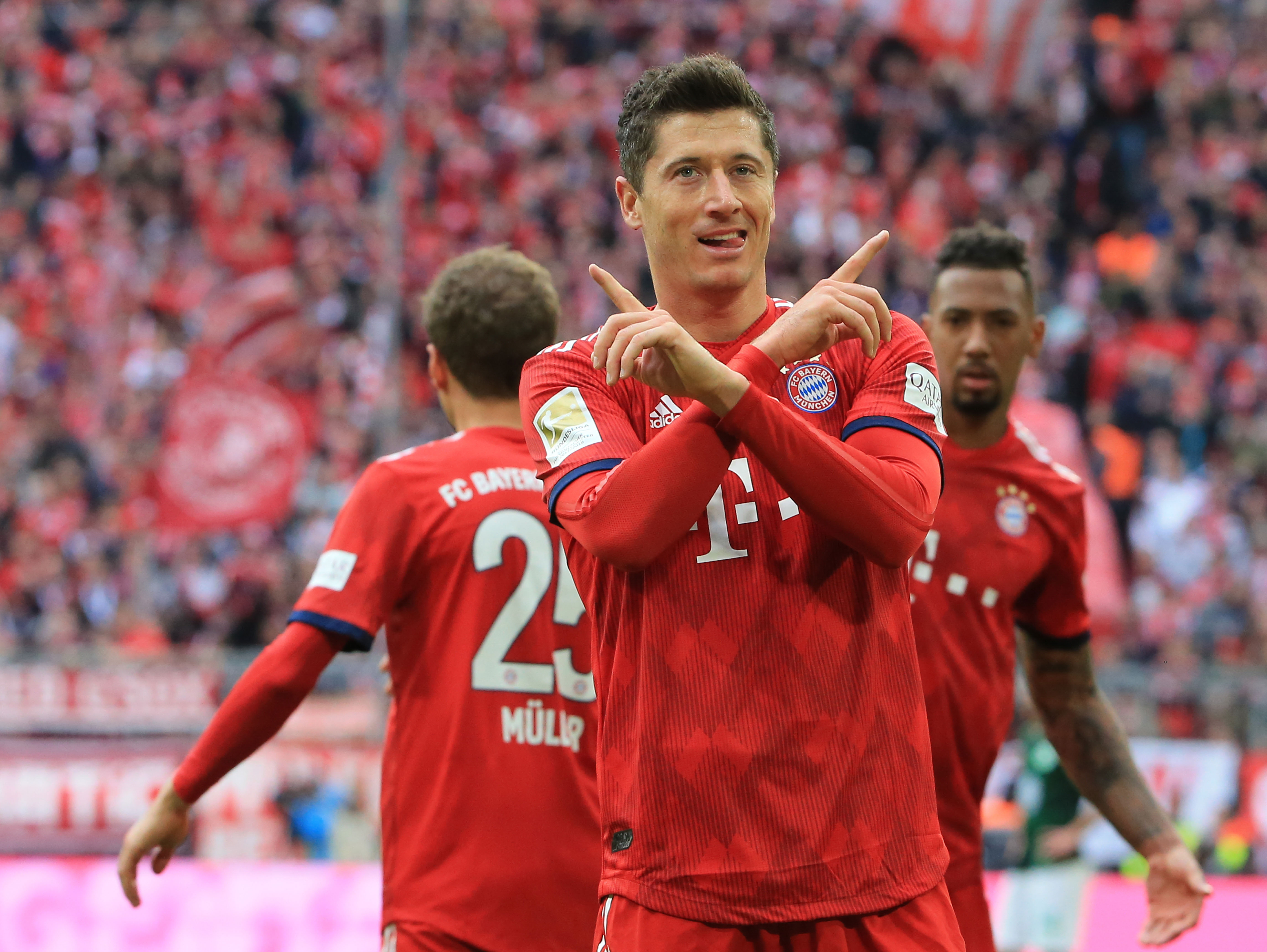 熊的关键因 熊的关键因