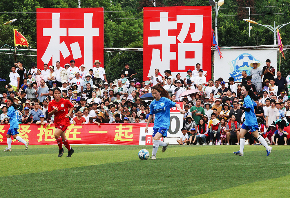 动和文化交 动和文化交